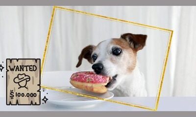 Stop Stealing from Yourself – Asteya