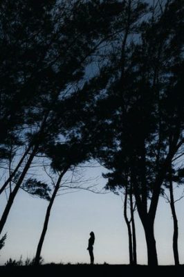 Person silhouetted standing under trees being aware 