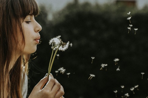 woman lightly blowing on a dandelion spreading the seeds with breath 