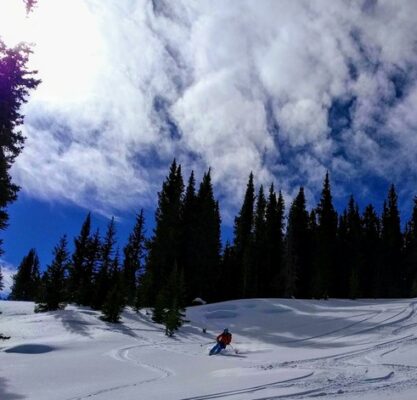 person skiing on a snowy slope tall trees in the background with blue sky and clouds