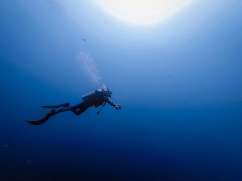 Scuba diver in the blue ocean