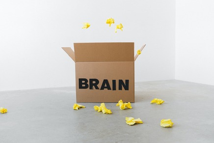 box labelled 'brain' with yellow paper being tossed into it representing information and knowledge