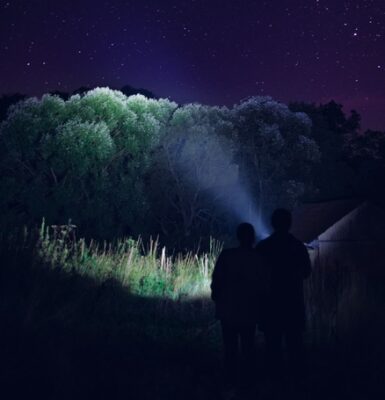 A flashlight being shown on trees at night to see them instead of darkness