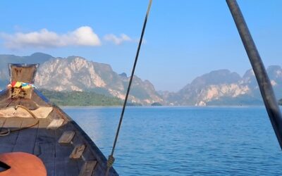 Exploring Choice Calms The Mind