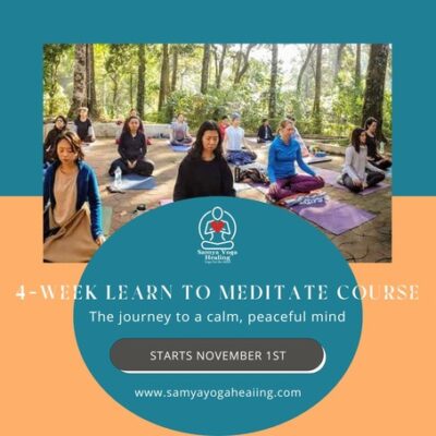 poster for the four week learn to meditate course that starts on November first 2024