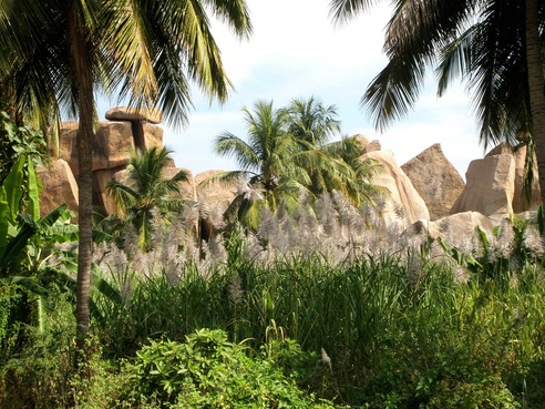 granite rock formations through the palm tress and flora of Hampi where the author dreamed of going