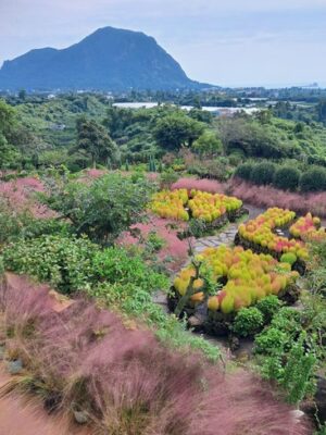 A colorful garden thriving in its nourishing environment