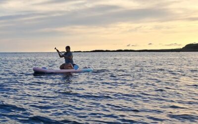 Navigating Waves Of Transition In The Ocean Of Life