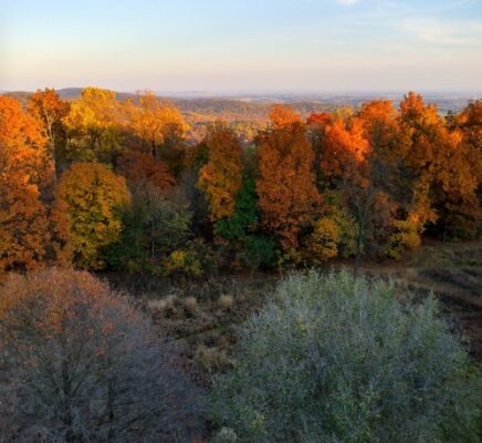 the change of season with leaves turning colors is part of the play of the gunas and prakriti