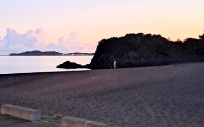 The Similarities Of Beach Clean Ups And Refining The Mind