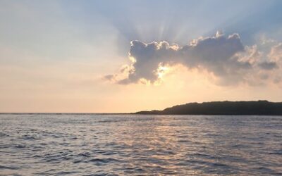 From Violence To ‘Love In Action’