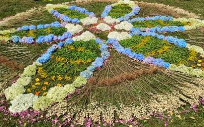 When the World Feels Heavy, Let Acceptance Lighten the Load