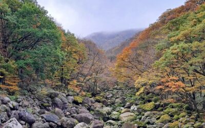 You Can Change Mental Suffering