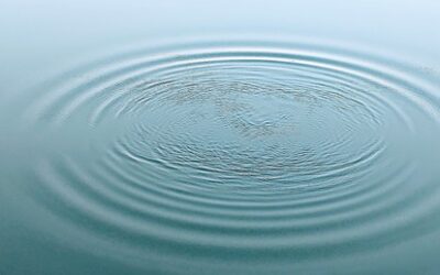 Is Change Your Ally Or Your Enemy?