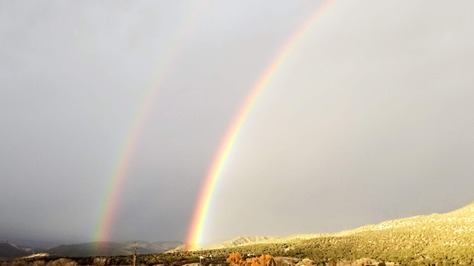 See Duality As A Spectrum to Calm The Mind