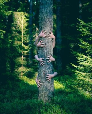 hands clinging to a tree trunk representing the clinging we do as part of human nature